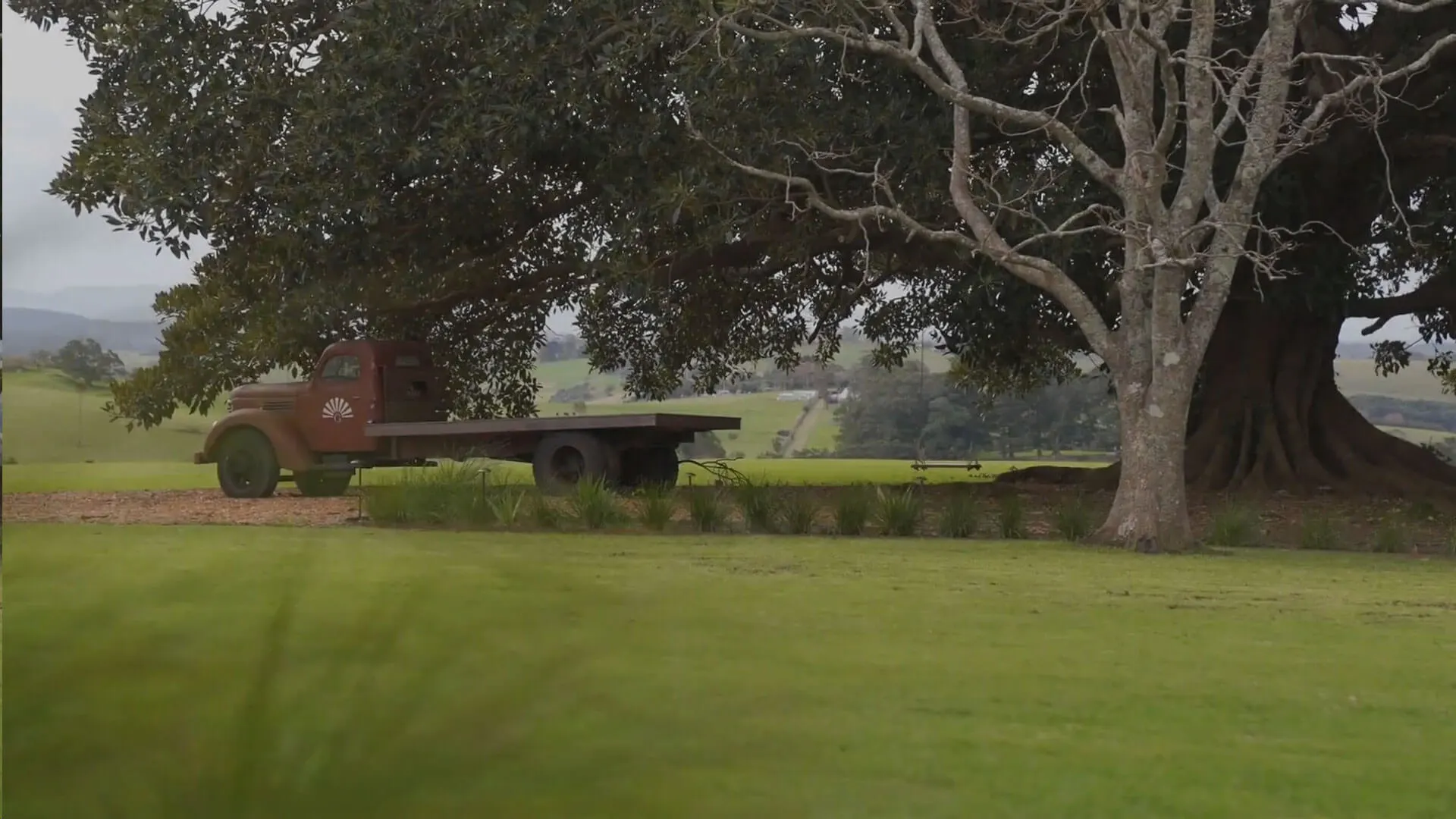 Car of the year page image